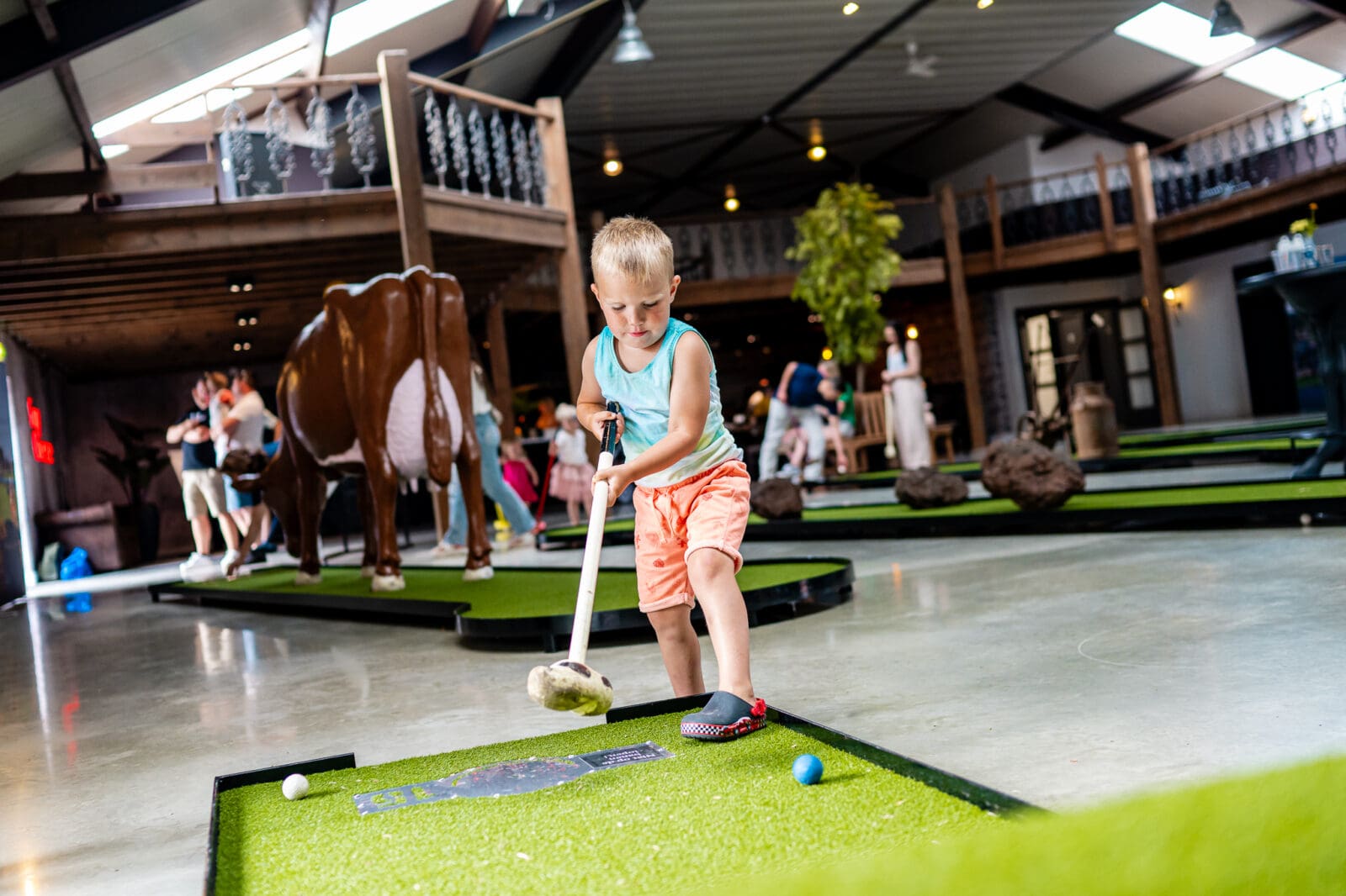 Indoor Mini Boerengolf